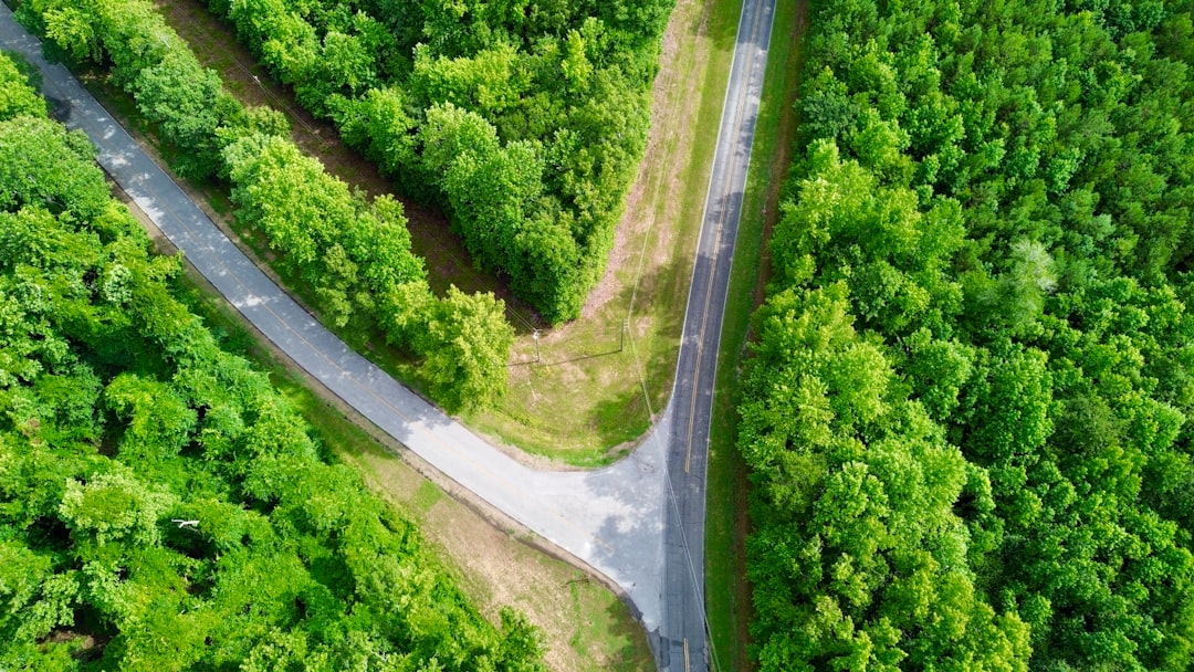 An aerial view of a road in the middle of a forest